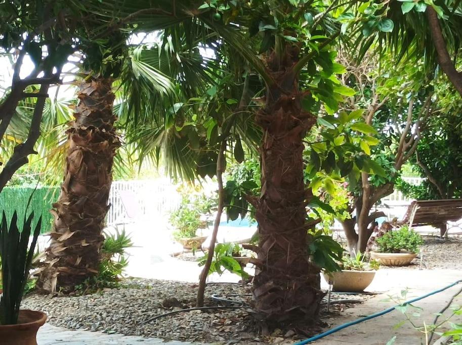 Cortijo Del Sidi Villa Motril Bagian luar foto