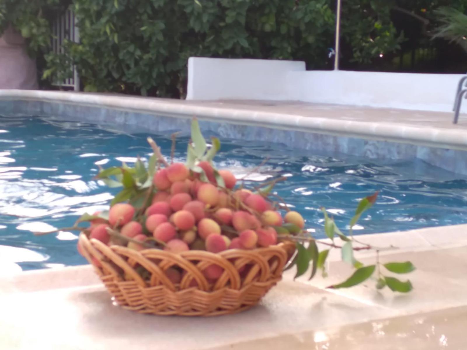 Cortijo Del Sidi Villa Motril Bagian luar foto