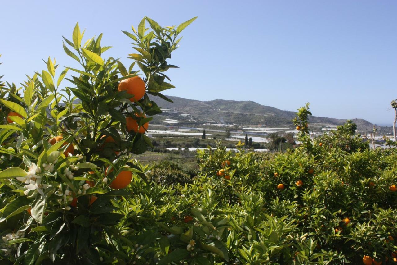 Cortijo Del Sidi Villa Motril Bagian luar foto